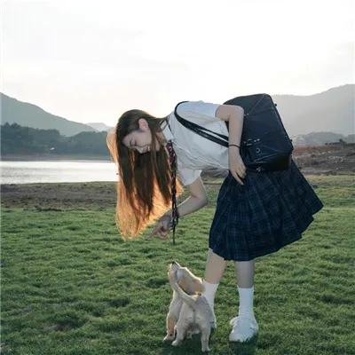 嘘！萌宝在掌家